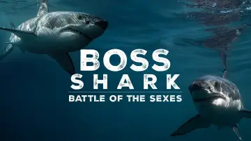 Задник к фильму "Great White Sex Battle" #981004