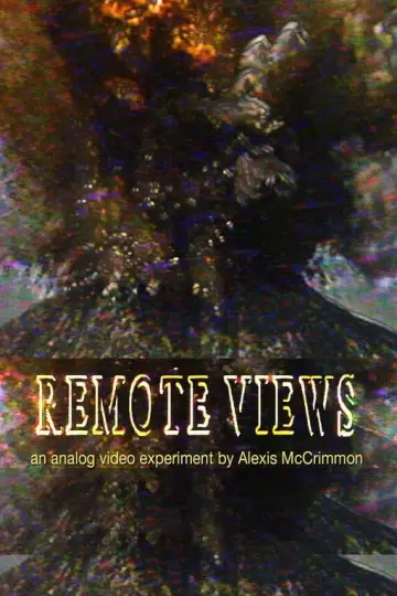 Remote Views постер