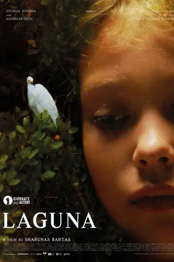 Laguna постер