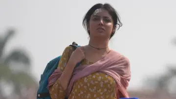 एक चतुर नार постер