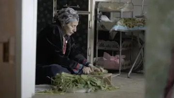 Задник к фильму "فلانة" #822254