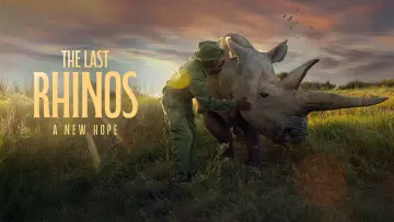 Задник к фильму "The Last Rhinos: A New Hope" #1583559