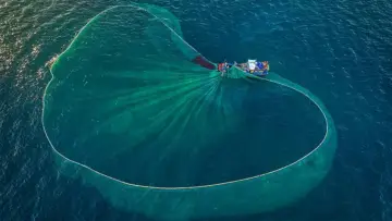 Задник к фильму "Au nom de la mer : vers une pêche durable ?" #940343