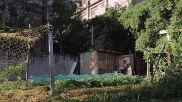 Задник к фильму "屋舍上的葉仔花" #1159224