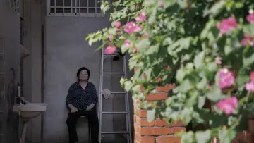 Задник к фильму "屋舍上的葉仔花" #1159225