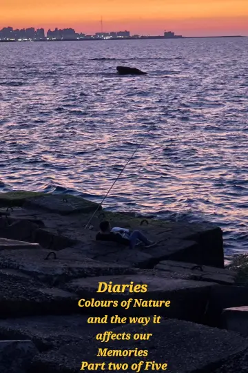 Diaries: Colours of Nature and the Way It Affects Our Memories.