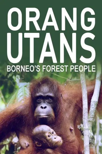 Постер к фильму "Orang-Utans - Borneos Waldmenschen" #922243