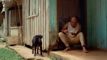 Задник к фильму "O Caçador" #973428