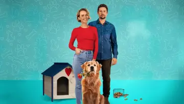 Задник к фильму "Love Is a Dog