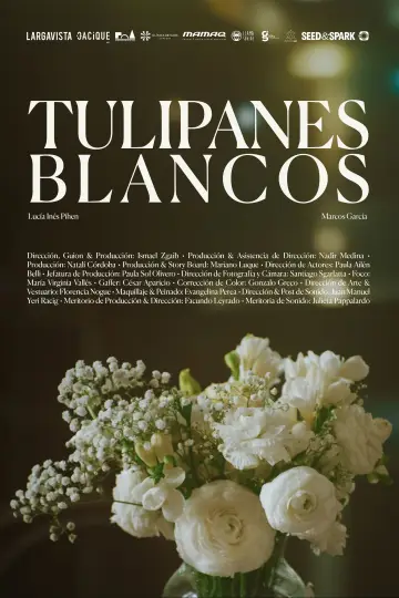 Tulipanes blancos постер