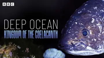 Задник к фильму "Deep Ocean: Kingdom of the Coelacanth" #933661
