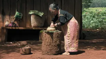 Задник к фильму "Nous Sommes les Fruits de la Forêt" #1508737