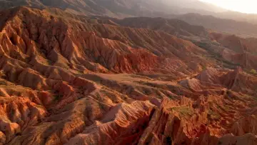 Задник к фильму "Terre, Les Forces du Vivant" #1286195