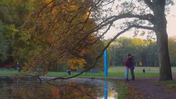 Задник к фильму "zusammen ist man weniger getrennt." #786244