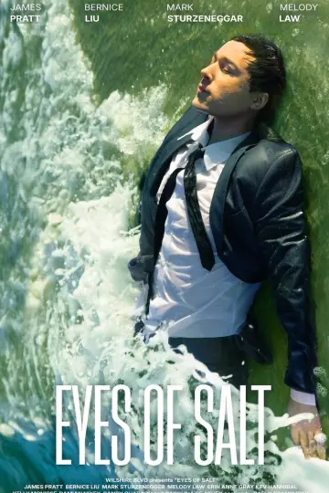 Eyes of Salt постер