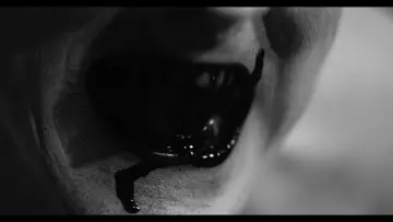 Задник к фильму "They Live on Top" #665927