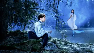 Das Märchen vom Schwanensee постер