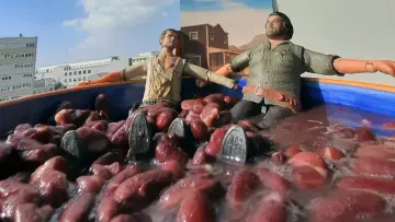 Задник к фильму "Terence Hill, Bud Spencer… et moi" #1785956
