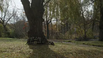 Задник к фильму "My Fighter" #1181464