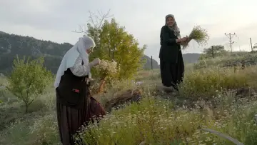 Задник к фильму "32 метра" #1522512