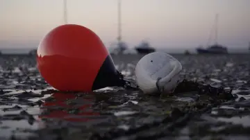Задник к фильму "She Fishes" #971421
