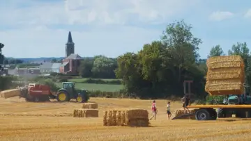 Un été à la ferme - L'âge d'or постер