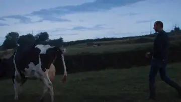 Задник к фильму "Un été à la ferme - L