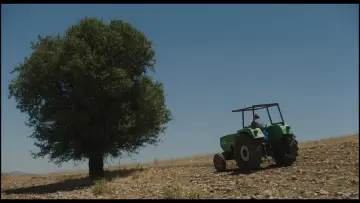 Задник к фильму "Κόκορας" #1647179
