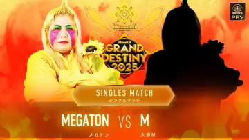 Задник к фильму "Marigold Grand Destiny 2025" #969598
