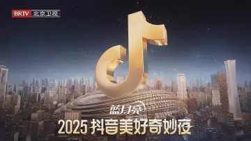 2025抖音美好奇妙夜 постер