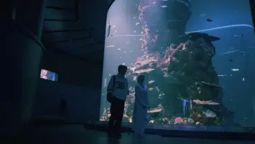 Задник к фильму "Ahlan Singapore" #818634