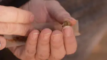 Задник к фильму "Cannabis, un paradoxe français" #1589727