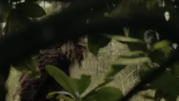 Задник к фильму "Sighting" #1166694