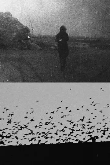L'Image fantôme