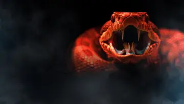 Задник к фильму "One Big Snake" #1159178