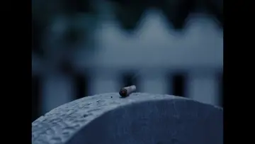 Задник к фильму "BUD" #1908346