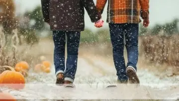Задник к фильму "Snow Falling on Pumpkins" #691687