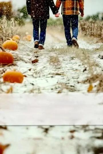 Постер к фильму "Snow Falling on Pumpkins" #691695