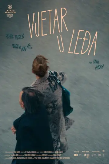 Vjetar u leđa постер