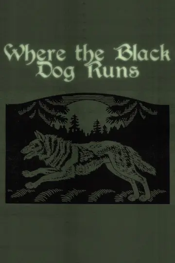 Where the Black Dog Runs постер