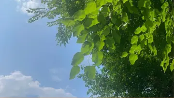 Задник к фильму "Tangerine" #568683
