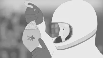 Задник к фильму "Moonfish" #1651210