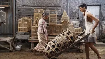 Задник к фильму "Rencana Besar untuk Mati dengan Tenang" #920197