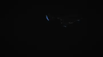 Задник к фильму "Mycélium" #1191478