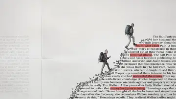 Задник к фильму "The Salt Path Scandal" #862677
