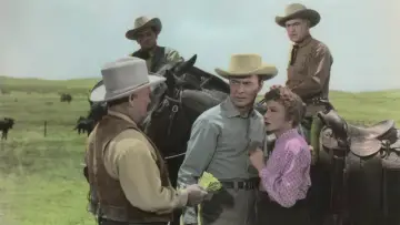 Задник к фильму "Texas Lady" #691910