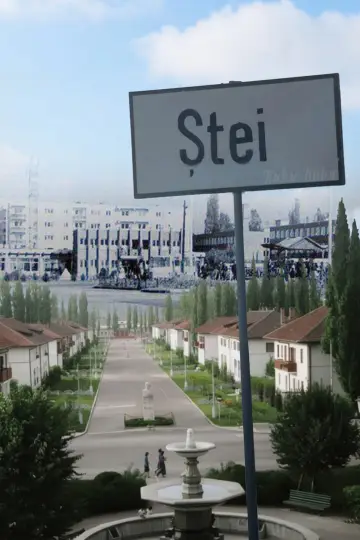 Постер к фильму "Ștei" #1746193