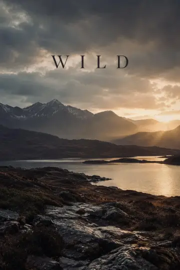 Wild постер