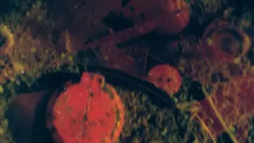 Задник к фильму "DETRITUS" #544181