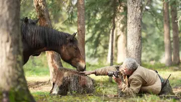 Задник к фильму "Wild Horses, the Rockies and Me" #659276